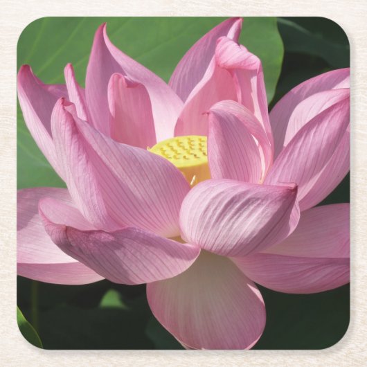 Roze Lotus Flower IV Kartonnen Onderzetters (Voorkant)