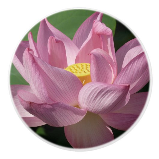 Roze Lotus Flower IV Keramische Knop (Voorkant)