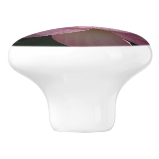 Roze Lotus Flower IV Keramische Knop (Zijkant)