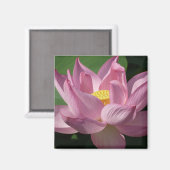 Roze Lotus Flower IV Magneet (Voorkant / Achterkant)