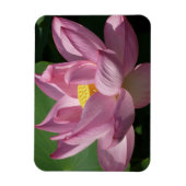 Roze Lotus Flower IV Magneet (Verticaal)