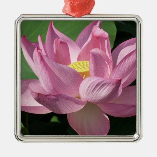 Roze Lotus Flower IV Metalen Ornament (Voorkant)
