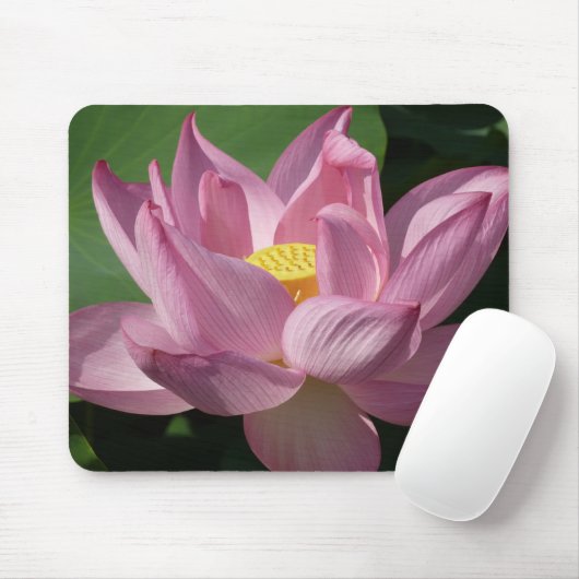 Roze Lotus Flower IV Muismat (Met muis)