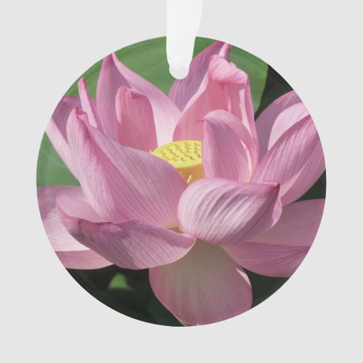 Roze Lotus Flower IV Ornament (voorkant)