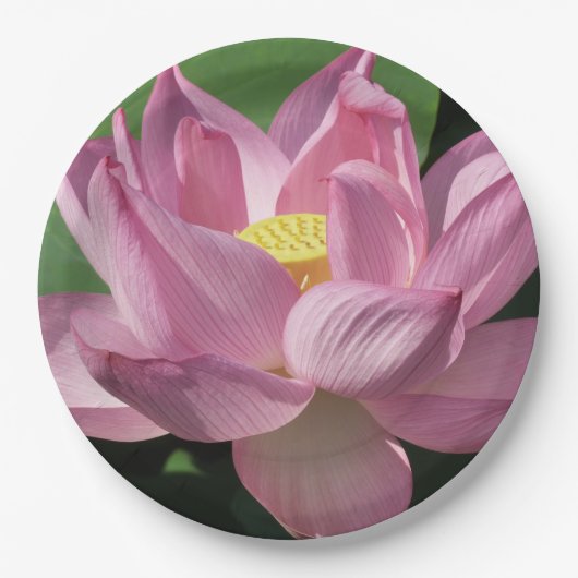 Roze Lotus Flower IV Papieren Bordje (Voorkant)