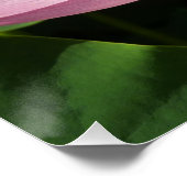 Roze Lotus Flower IV Perfect Poster (Hoek)