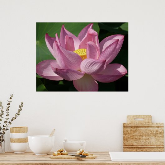 Roze Lotus Flower IV Poster (Keuken)