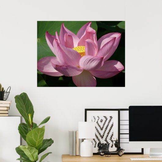 Roze Lotus Flower IV Poster (Thuiskantoor)