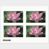 Roze Lotus Flower IV Rechthoekige Sticker (Vel)