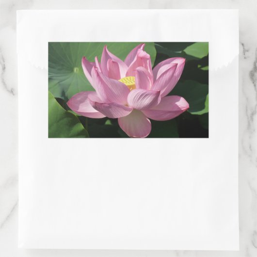 Roze Lotus Flower IV Rechthoekige Sticker (Tas)