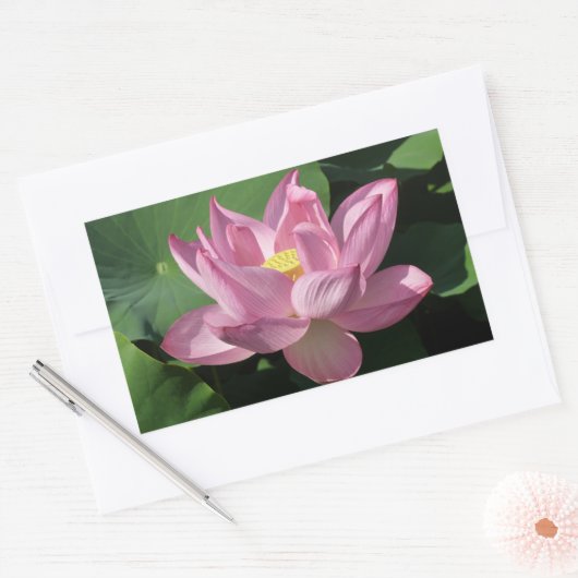 Roze Lotus Flower IV Rechthoekige Sticker (Envelop)