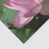 Roze Lotus Flower IV Tissuepapier (Detail)