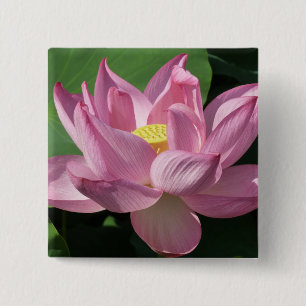 Roze Lotus Flower IV Vierkante Button 5,1 Cm