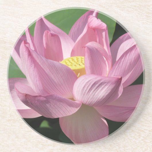 Roze Lotus Flower IV Zandsteen Onderzetter (Voorkant)
