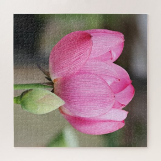 Roze Lotus Flower Legpuzzel (Horizontaal)