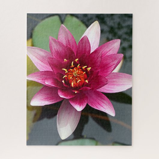 Roze Lotus Flower Legpuzzel (Verticaal)