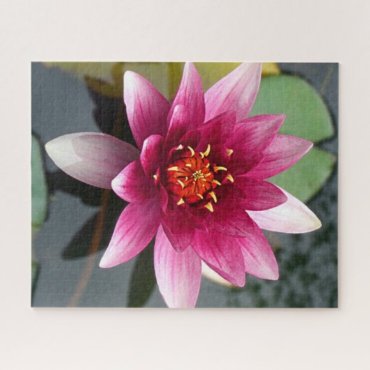 Roze Lotus Flower Legpuzzel (Horizontaal)