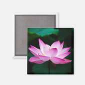 Roze Lotus Flower Magneet (Voorkant / Achterkant)