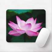 Roze Lotus Flower Muismat (Met muis)