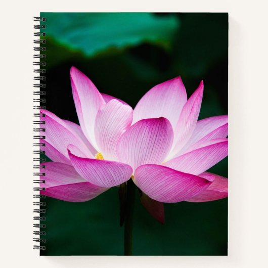 Roze Lotus Flower Notitieboek (Voorkant)