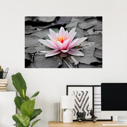 Roze Lotus Flower Poster (Thuiskantoor)