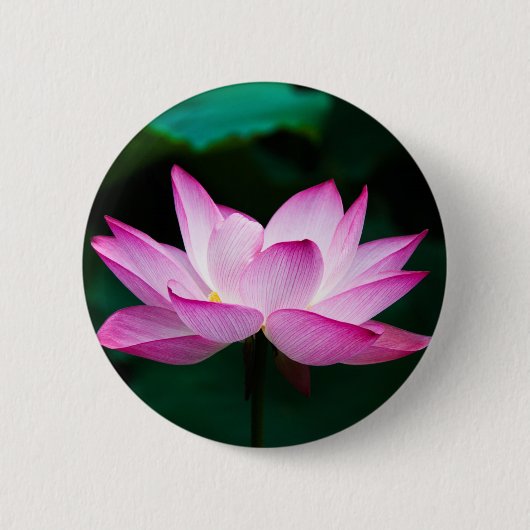 Roze Lotus Flower Ronde Button 5,7 Cm (Voorkant)