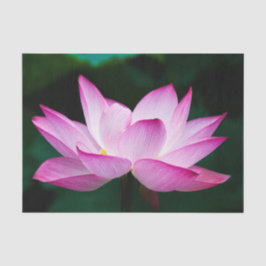 Roze Lotus Flower Tissuepapier