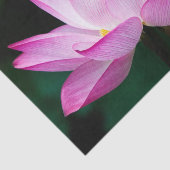 Roze Lotus Flower Tissuepapier (Detail)