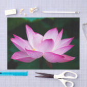 Roze Lotus Flower Tissuepapier (Craft)