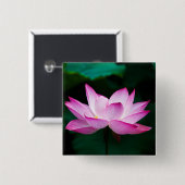 Roze Lotus Flower Vierkante Button 5,1 Cm (Voorkant /achterkant)