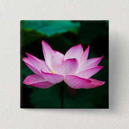Roze Lotus Flower Vierkante Button 5,1 Cm