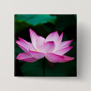 Roze Lotus Flower Vierkante Button 5,1 Cm