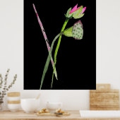 Roze Lotus flower waterverf Poster (Keuken)