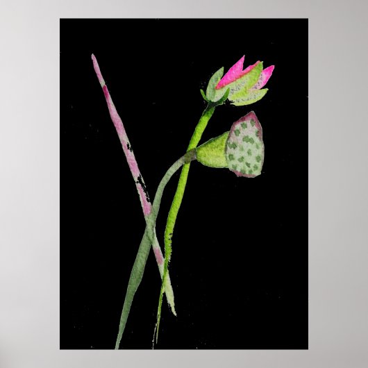 Roze Lotus flower waterverf Poster (Voorkant)