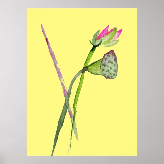 Roze Lotus flower waterverf Poster (Voorkant)