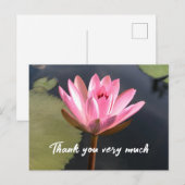 Roze lotus in de vijver briefkaart (Voorkant / Achterkant)