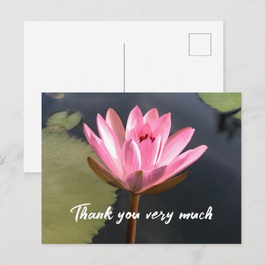 Roze lotus in de vijver briefkaart (Voorkant / Achterkant)