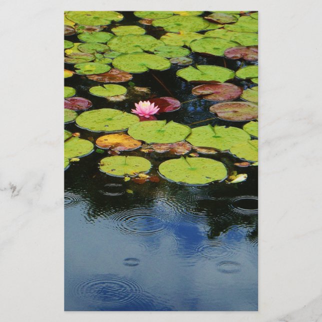 Roze lotus in regen (Voorkant)