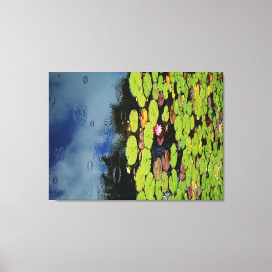 Roze lotus in regen canvas afdruk (Voorkant)