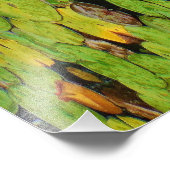 Roze lotus in regen foto afdruk (Hoek)