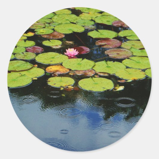 Roze lotus in regen ronde sticker (Voorkant)