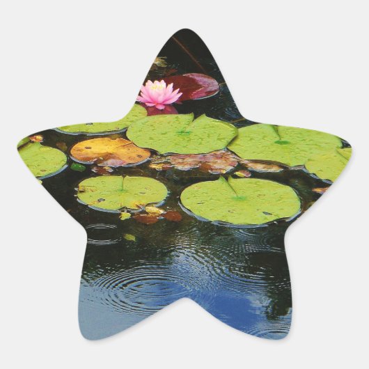 Roze lotus in regen ster sticker (Voorkant)