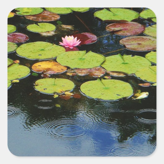 Roze lotus in regen vierkante sticker (Voorkant)