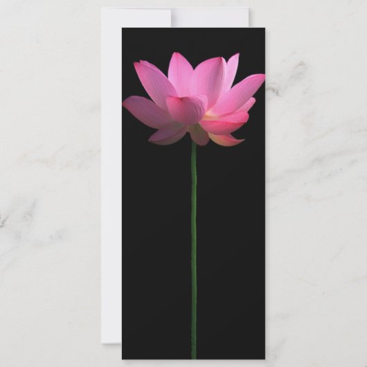 roze lotus kaart (Achterkant)