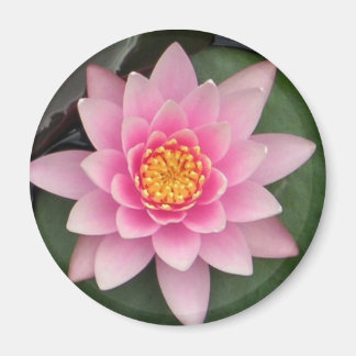 Roze Lotus Magneet