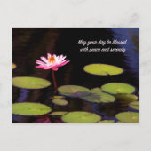 Roze Lotus met Briefkaart voor vrede en veiligheid (Voorkant)