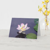 Roze Lotus met de Vlieg van de Draak Kaart (Gele Bloem)