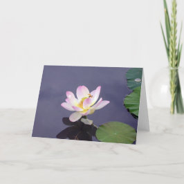 Roze Lotus met de Vlieg van de Draak Kaart