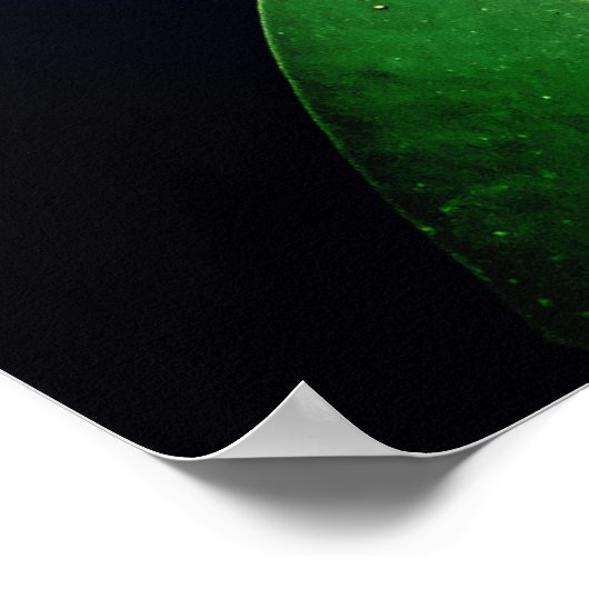 Roze Lotus Photography Poster (Hoek)