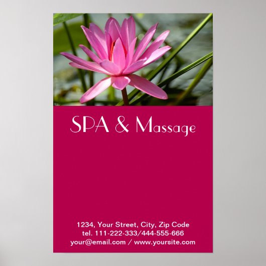 Roze lotus poster (Voorkant)